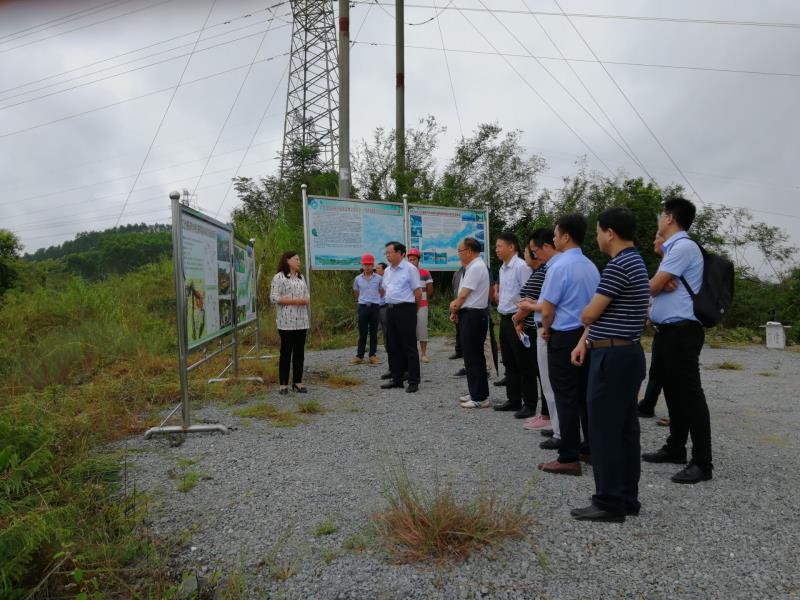 mansion88明升|主页