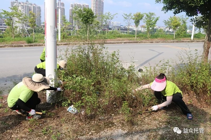 mansion88明升|主页