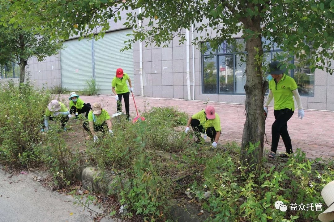 mansion88明升|主页