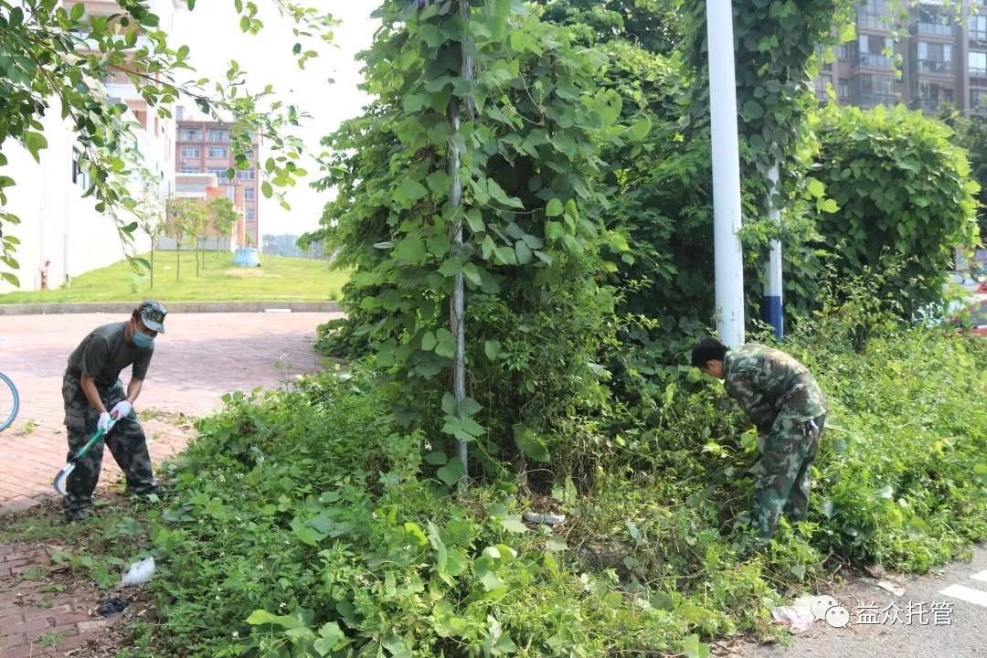 mansion88明升|主页