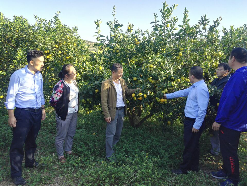 mansion88明升|主页