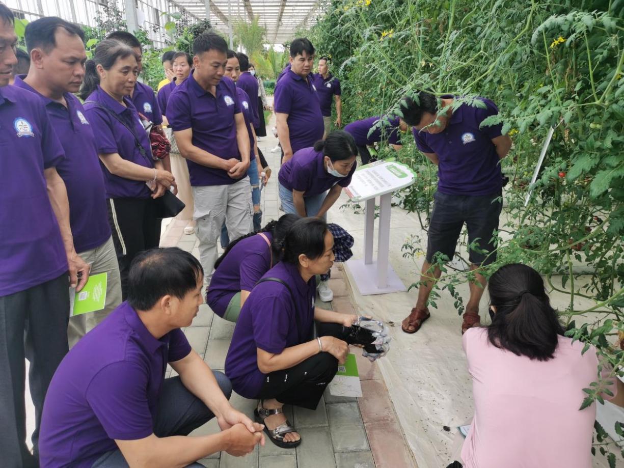 mansion88明升|主页