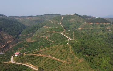 mansion88明升|主页